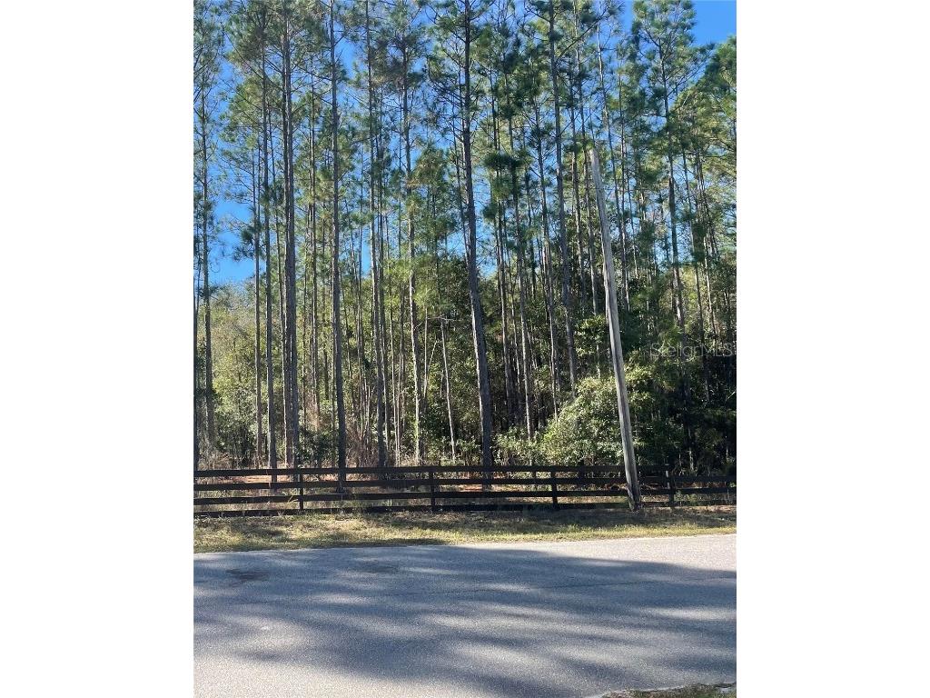 181 Lakeway Drive Georgetown FL 32139 O6165866 image1