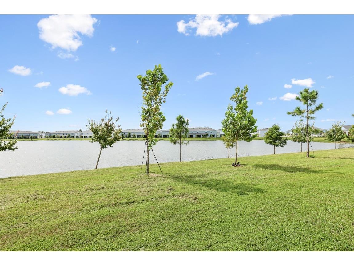 181 Mangrove Shade Circle Apollo Beach FL 33572 TB8397184 image25