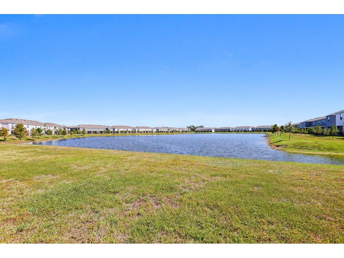 181 Mangrove Shade Circle Apollo Beach FL 33572 TB8397184 image35