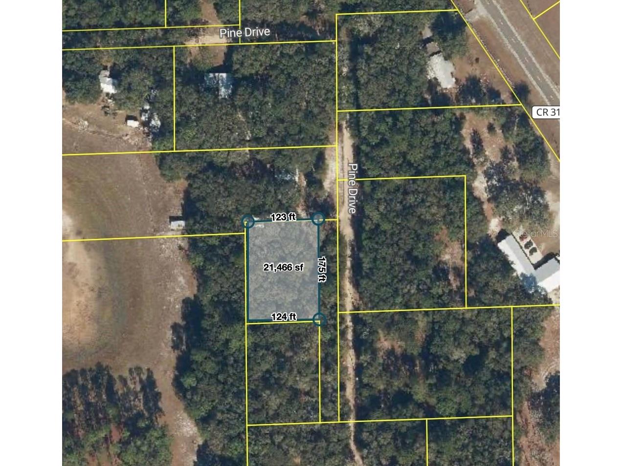 181 Pine Drive Interlachen FL 32148 O6396773 image1