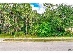 181 S Riverwalk Drive Palm Coast FL 32137 O6226102 image7