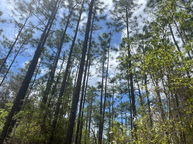 181 Whirlwind Loop Hawthorne FL 32640 GC539337 image1