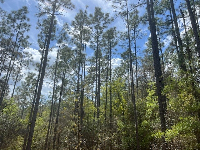 181 Whirlwind Loop Hawthorne FL 32640 GC539337 image2