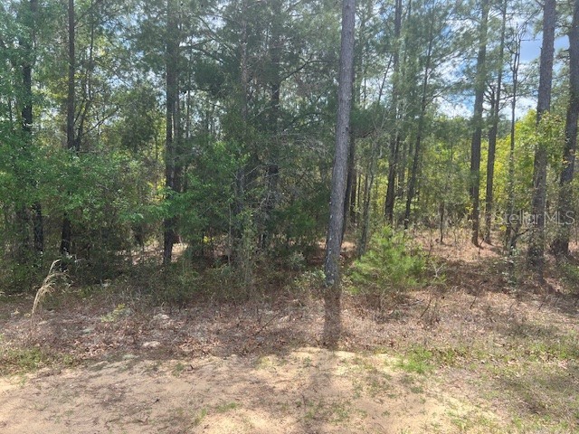 181 Whirlwind Loop Hawthorne FL 32640 GC539337 image3