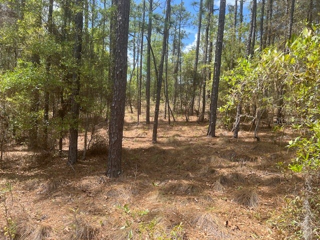 181 Whirlwind Loop Hawthorne FL 32640 GC539337 image4