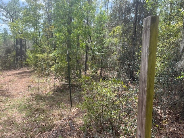 181 Whirlwind Loop Hawthorne FL 32640 GC539337 image5