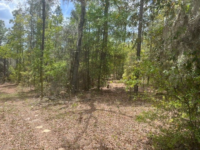 181 Whirlwind Loop Hawthorne FL 32640 GC539337 image6