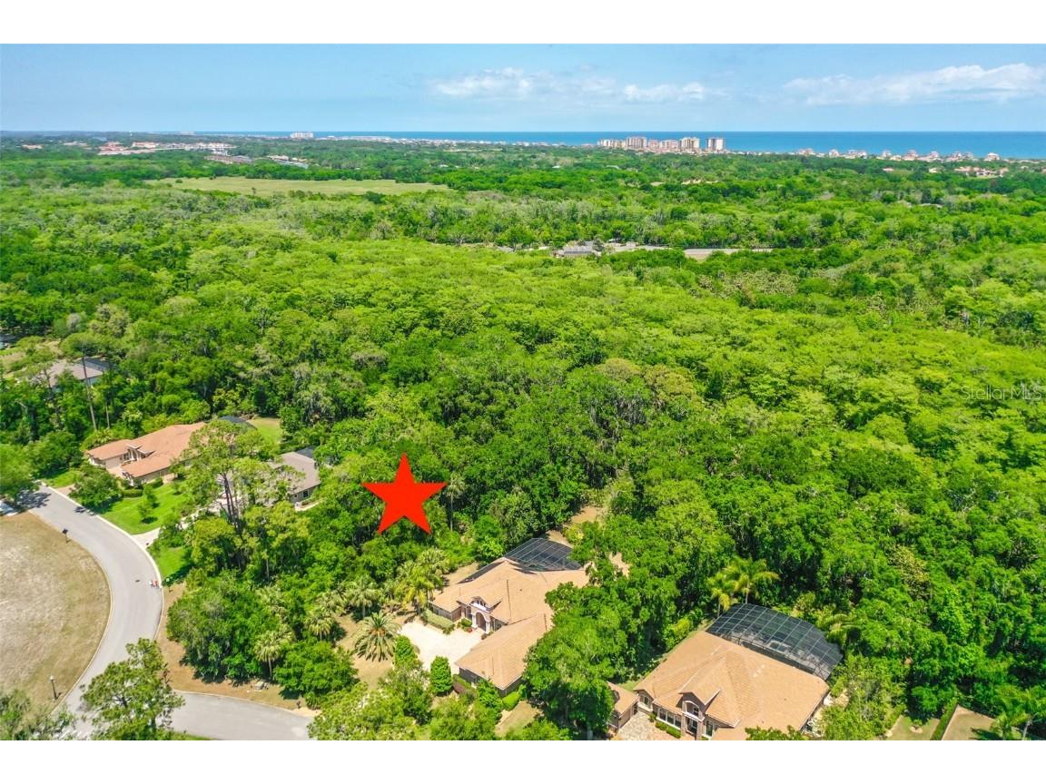 181 Willow Oak Way Palm Coast FL 32137 FC312538 image1