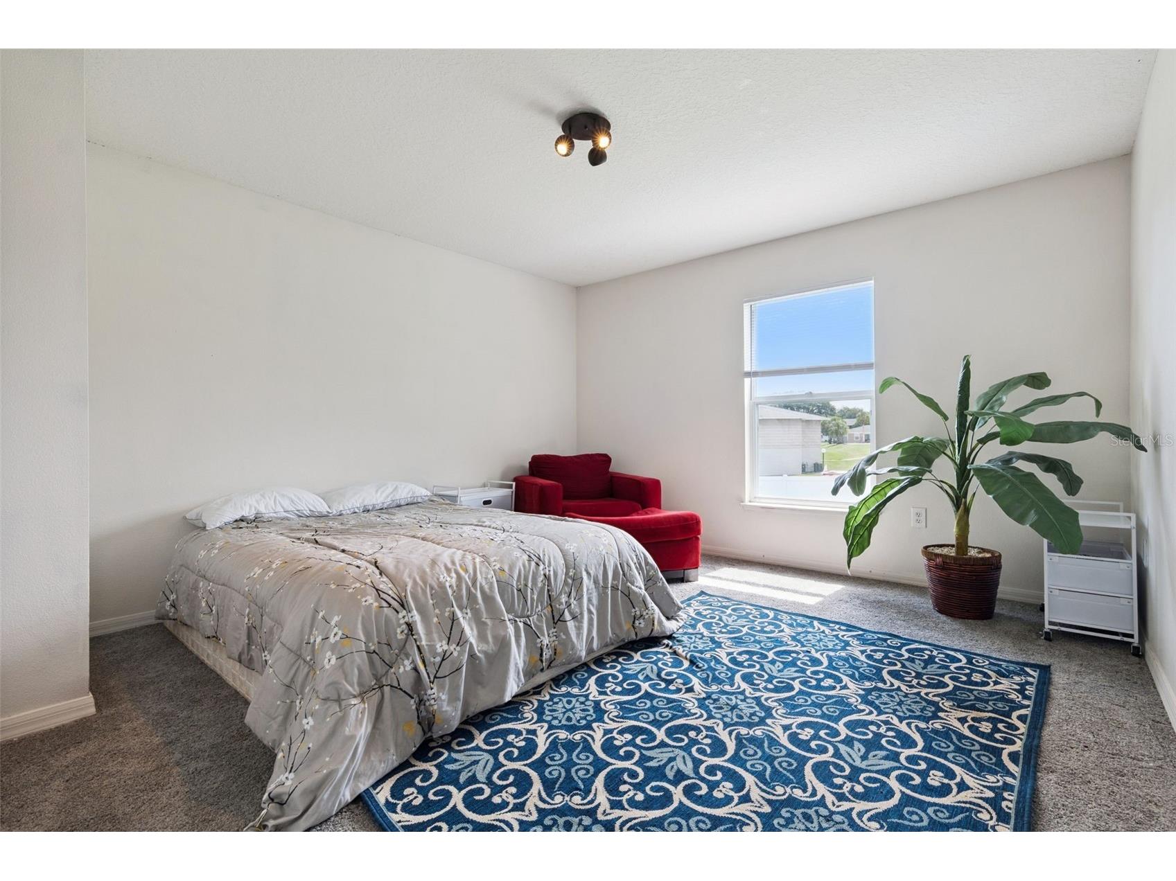181 Zachary Wade Street Winter Garden FL 34787 O6412174 image30