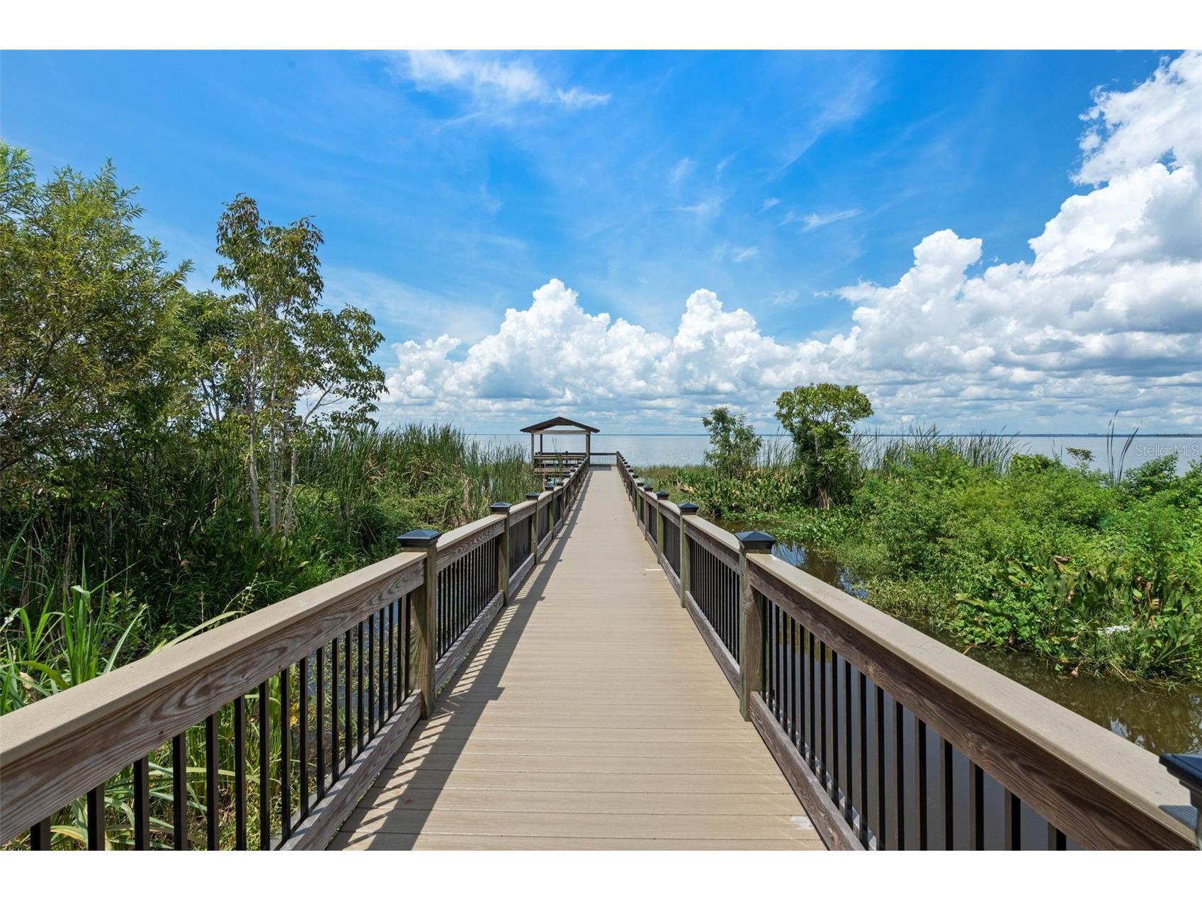 181 Zachary Wade Street Winter Garden FL 34787 O6412174 image50