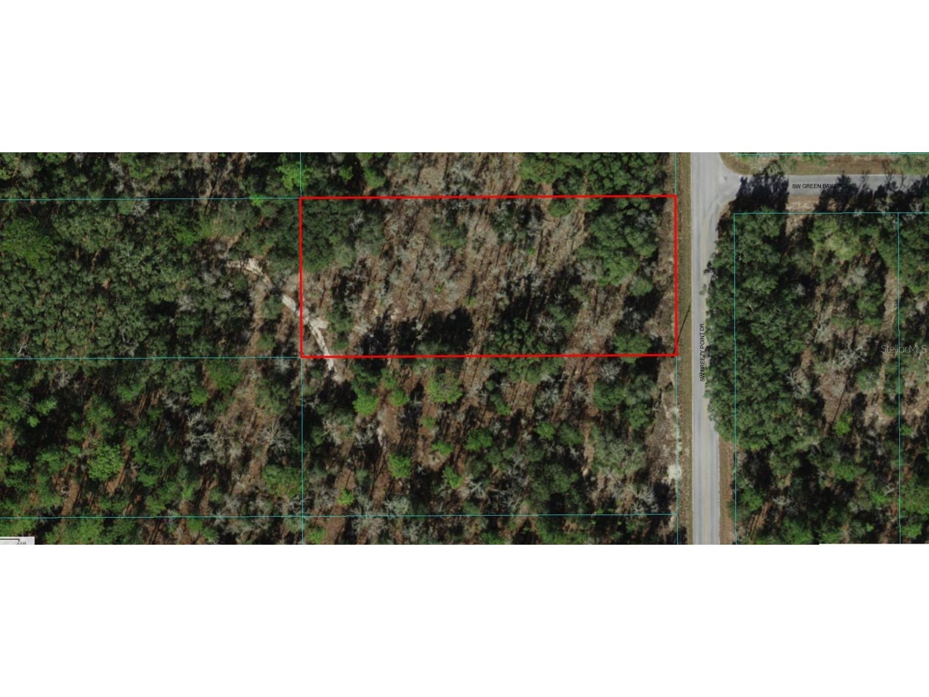 1810-004-006 SW Breezy Point Drive Dunnellon FL 34431 A4591844 image1
