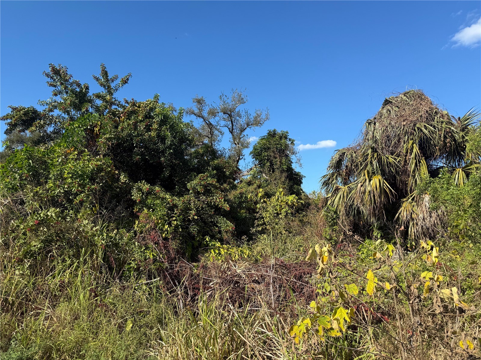 1810 38th Place Vero Beach FL 32960 TB8462543 image1