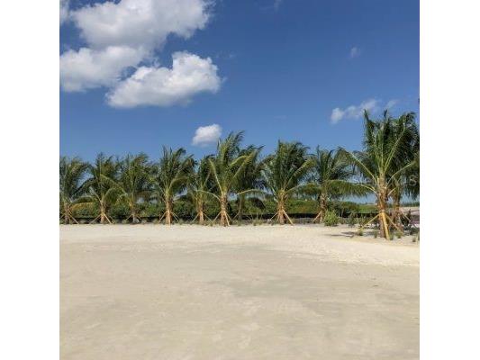 1810 4th Street E Palmetto FL 34221 - SANCTUARY COVE MARINA BASIN TB8444481 image61