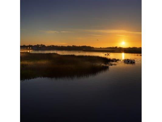 1810 4th Street E Palmetto FL 34221 - SANCTUARY COVE MARINA BASIN TB8444481 image66