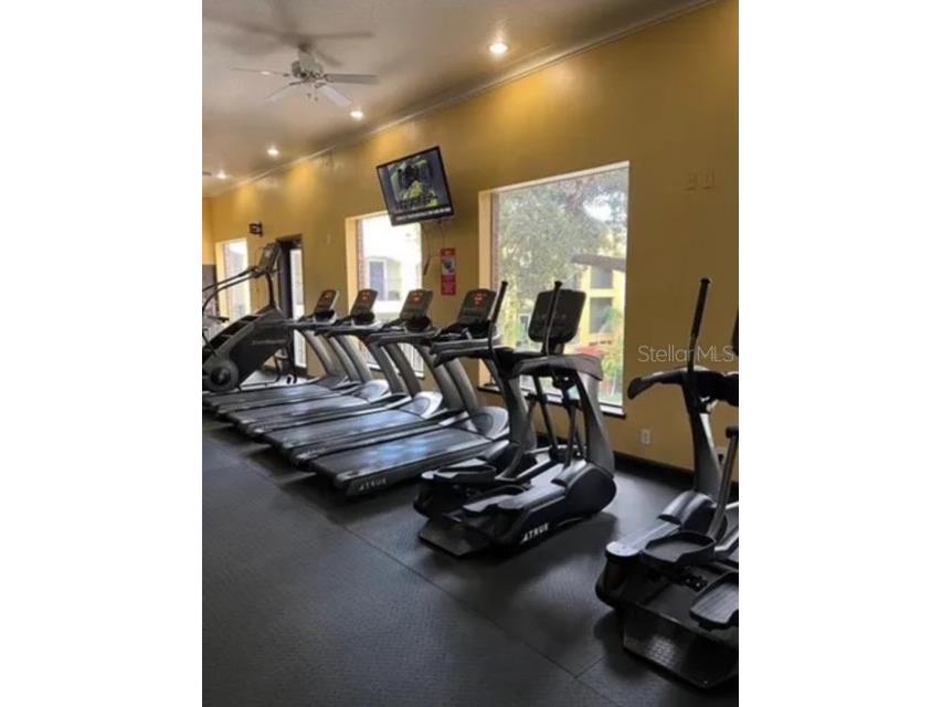 1810 E Palm Avenue #1101 Tampa FL 33605 TB8452001 image23