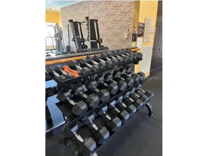 1810 E Palm Avenue #1101 Tampa FL 33605 TB8452001 image24