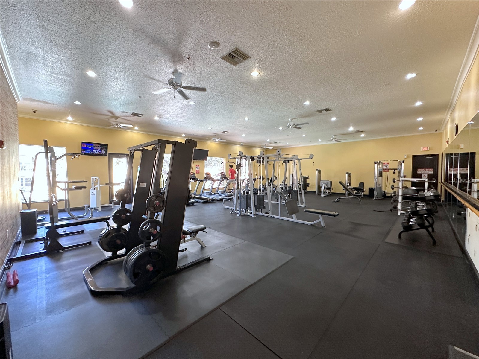 1810 E Palm Avenue #1113 Tampa FL 33605 TB8520397 image27