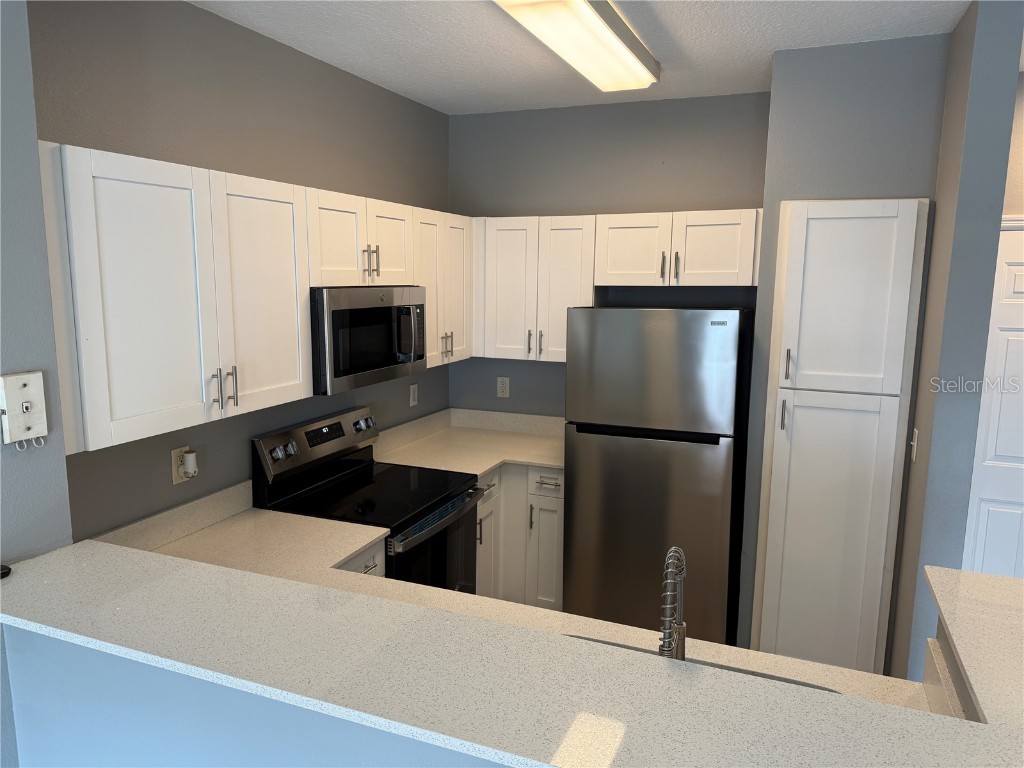 1810 E Palm Avenue #1202 Tampa FL 33605 T3467993 image4