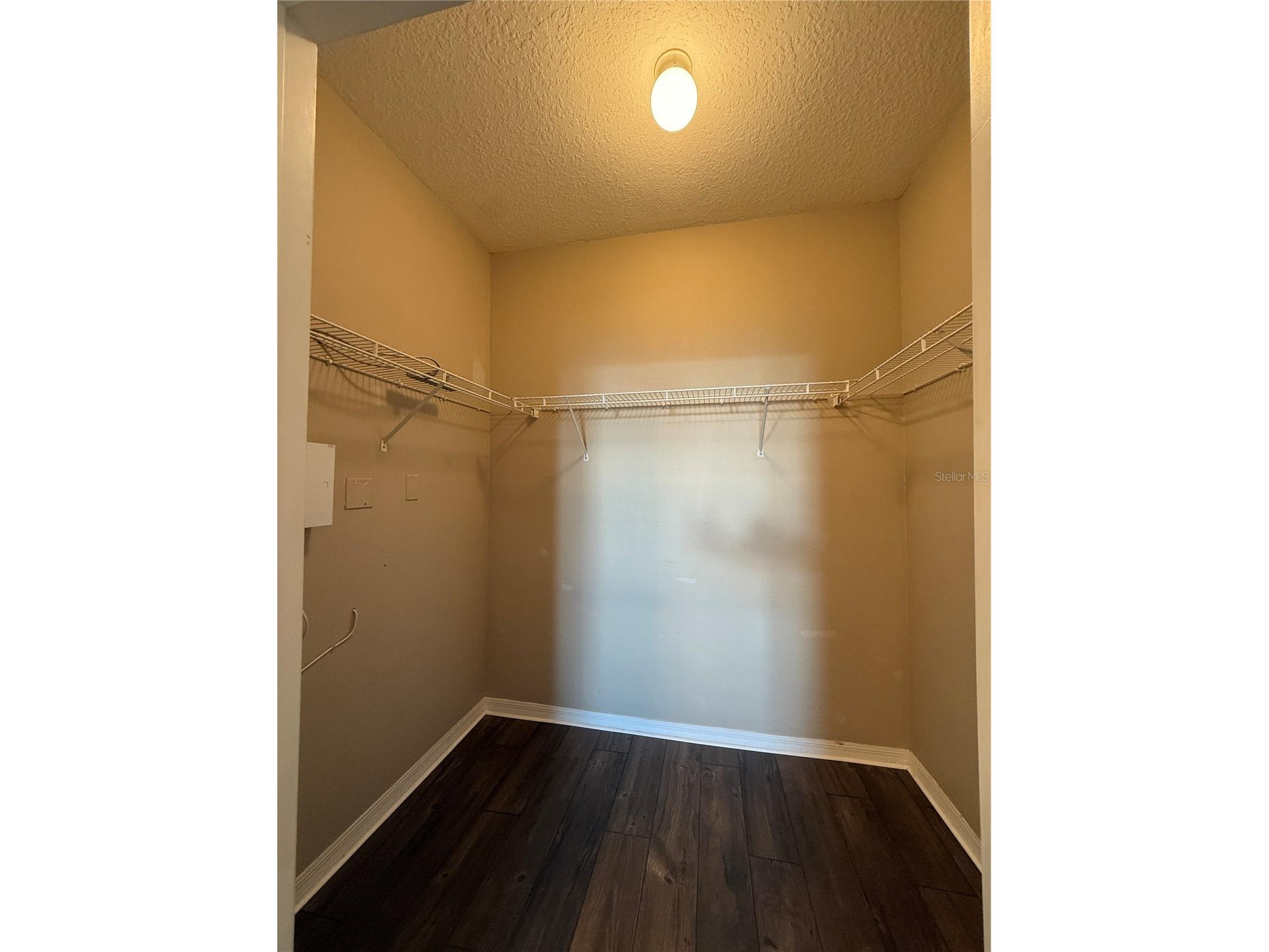 1810 E Palm Avenue #1301 Tampa FL 33605 TB8511276 image16