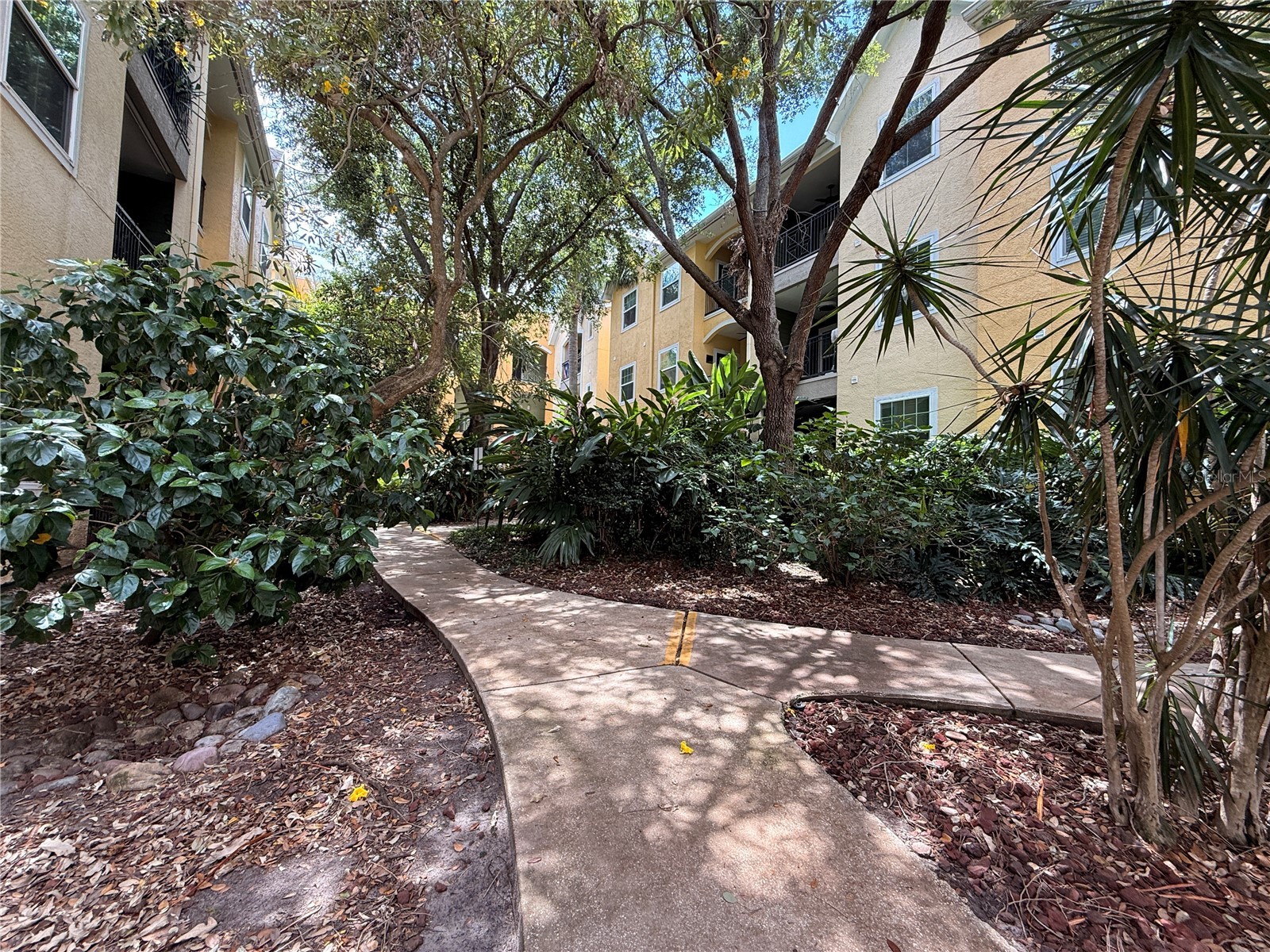 1810 E Palm Avenue #1301 Tampa FL 33605 TB8511276 image45