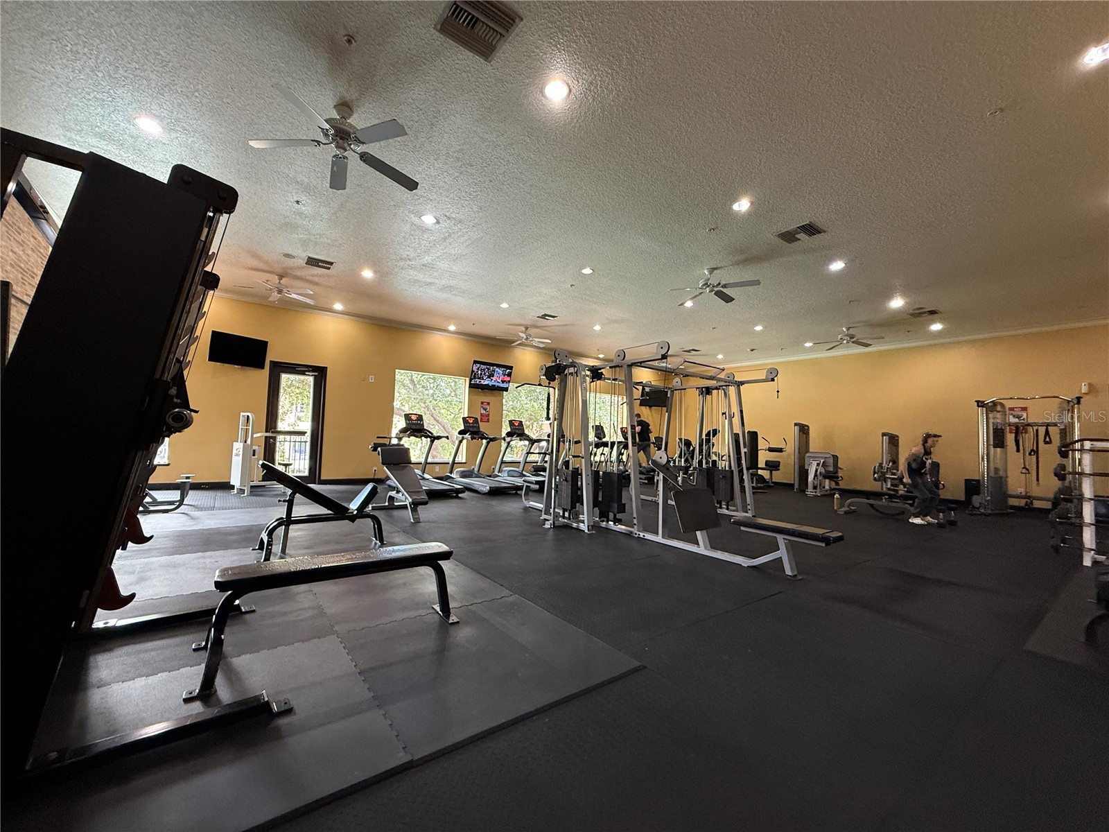 1810 E Palm Avenue #1301 Tampa FL 33605 TB8511276 image50