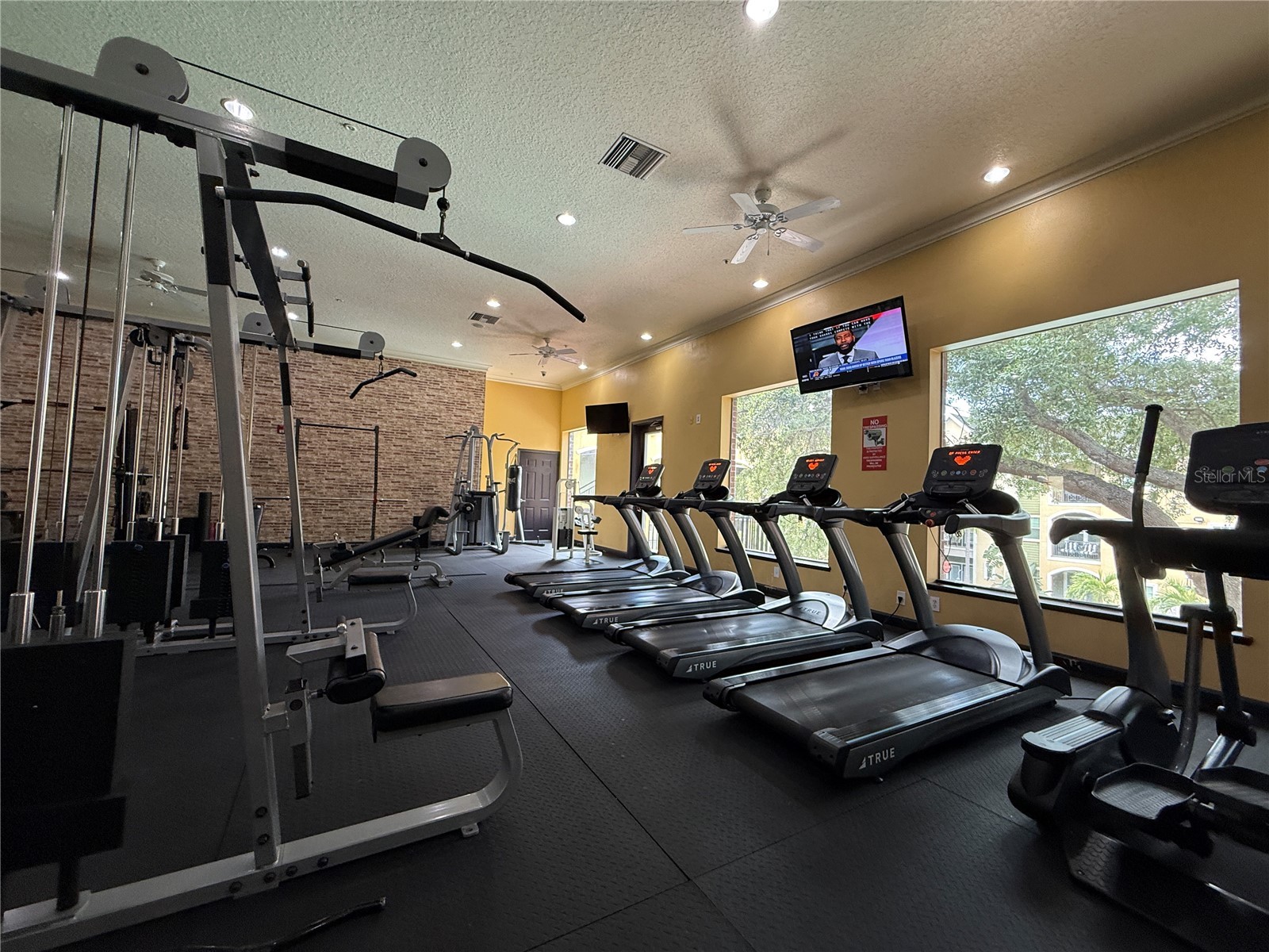 1810 E Palm Avenue #1301 Tampa FL 33605 TB8511276 image52