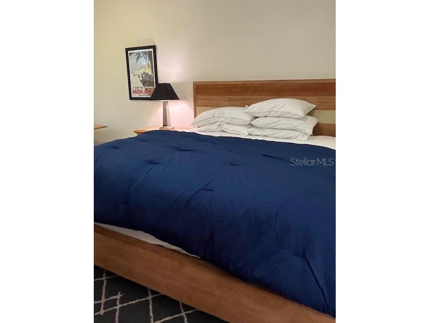1810 E Palm Avenue #2104 Tampa FL 33605 TB8484056 image18