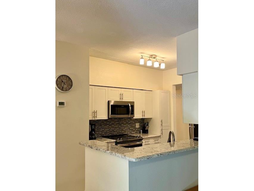 1810 E Palm Avenue #2104 Tampa FL 33605 TB8484056 image28