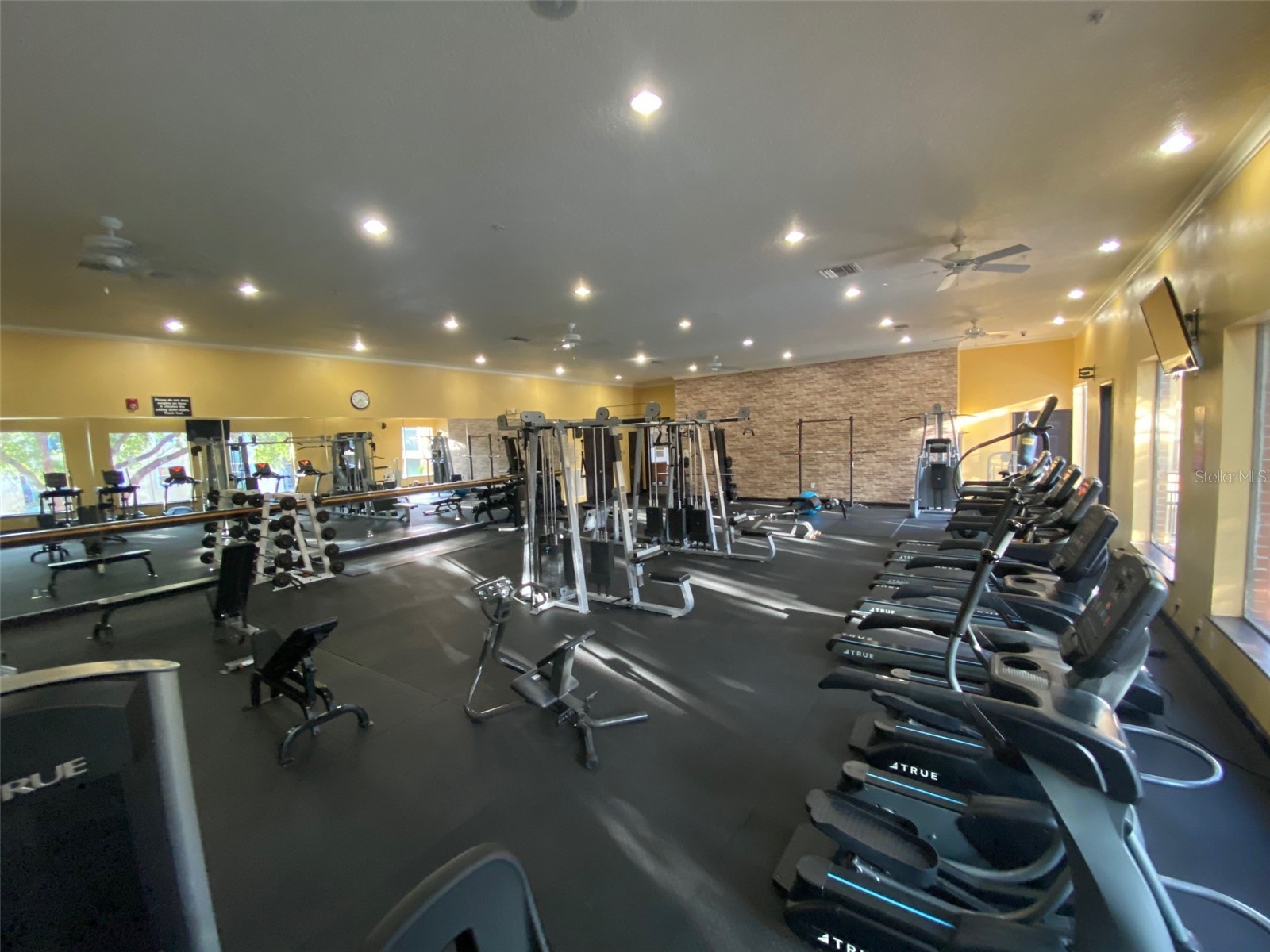1810 E Palm Avenue #2104 Tampa FL 33605 TB8484056 image41
