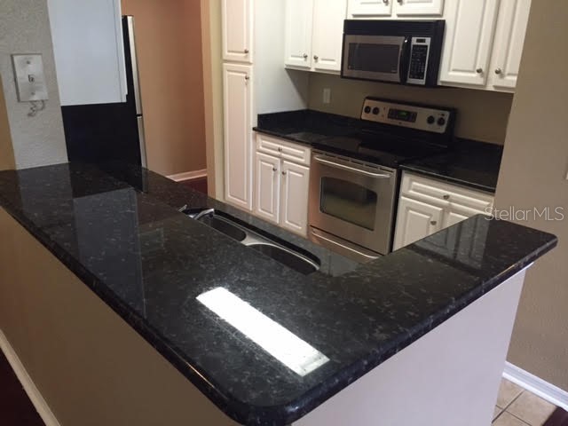 1810 E Palm Avenue #2302 Tampa FL 33605 TB8486790 image3