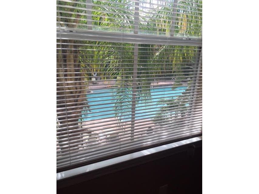 1810 E Palm Avenue #2302 Tampa FL 33605 TB8486790 image4