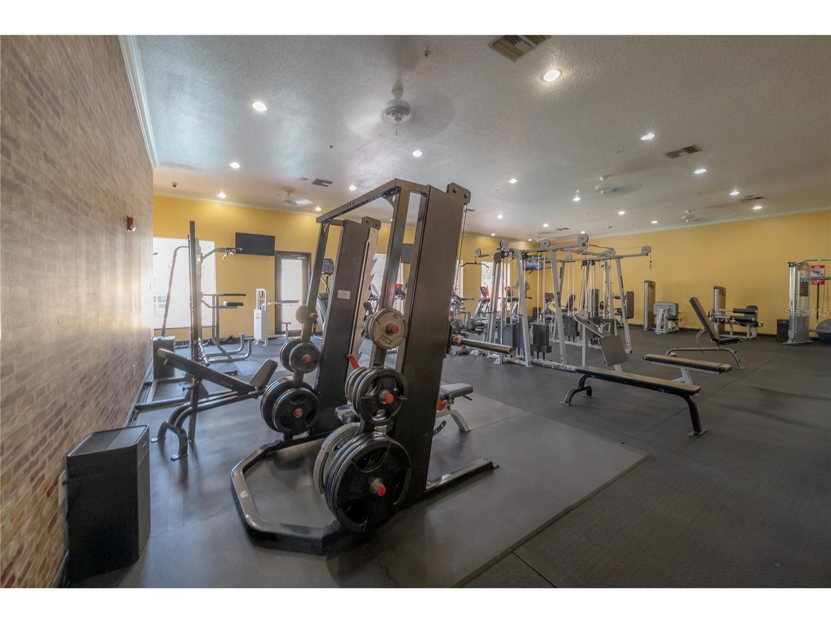 1810 E Palm Avenue #4103 Tampa FL 33605 TB8499516 image67