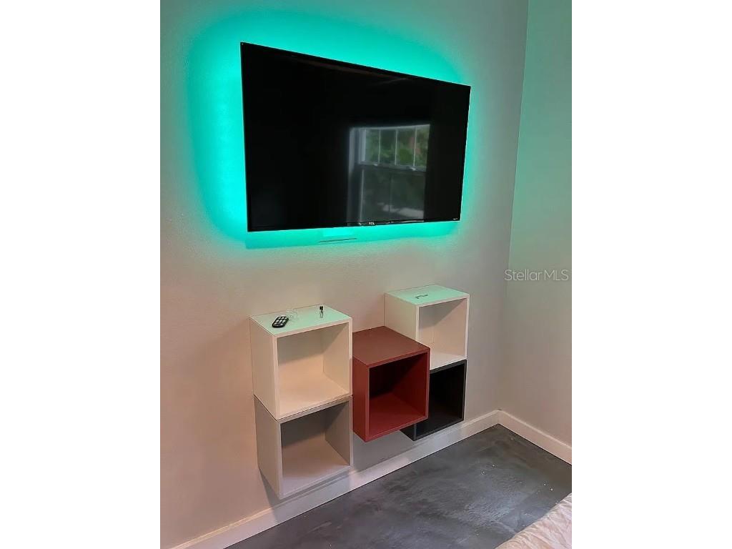 1810 E Palm Avenue #4107 Tampa FL 33605 TB8407820 image12