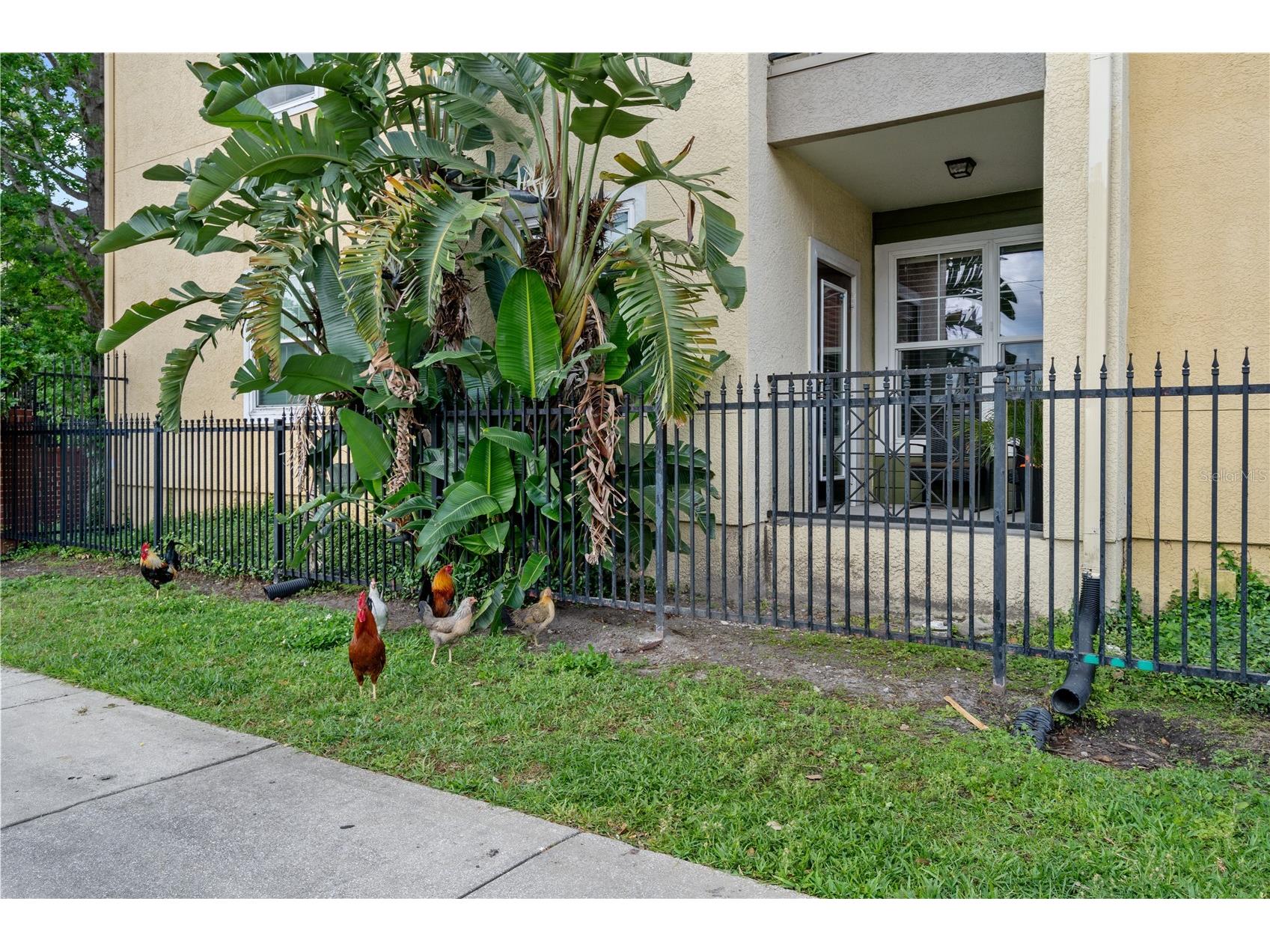1810 E Palm Avenue #5122 Tampa FL 33605 TB8507079 image34