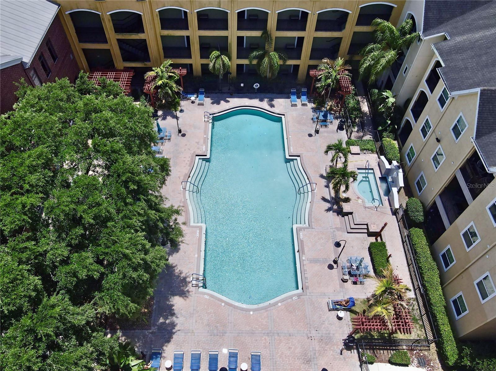 1810 E Palm Avenue #5122 Tampa FL 33605 TB8507079 image4