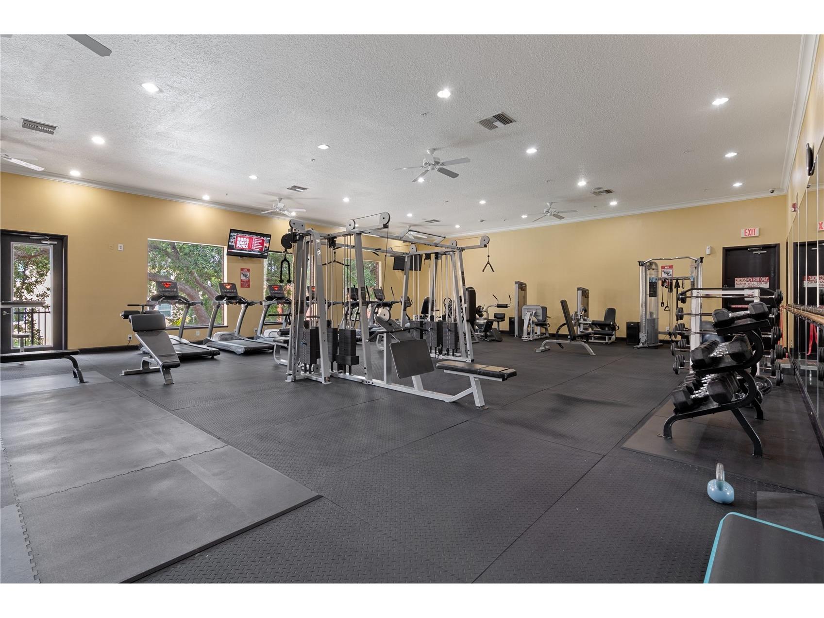 1810 E Palm Avenue #5122 Tampa FL 33605 TB8507079 image54