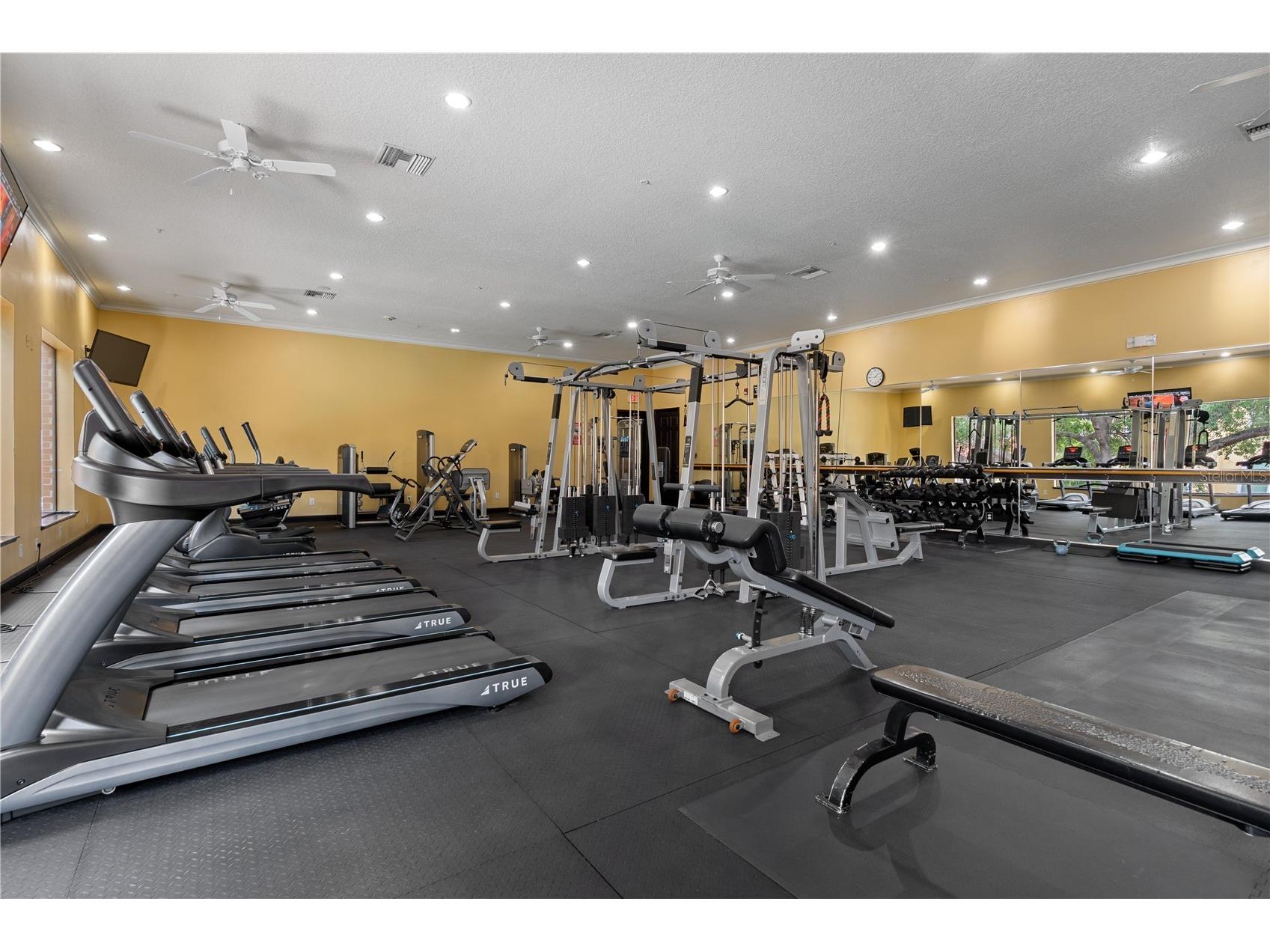 1810 E Palm Avenue #5122 Tampa FL 33605 TB8507079 image56