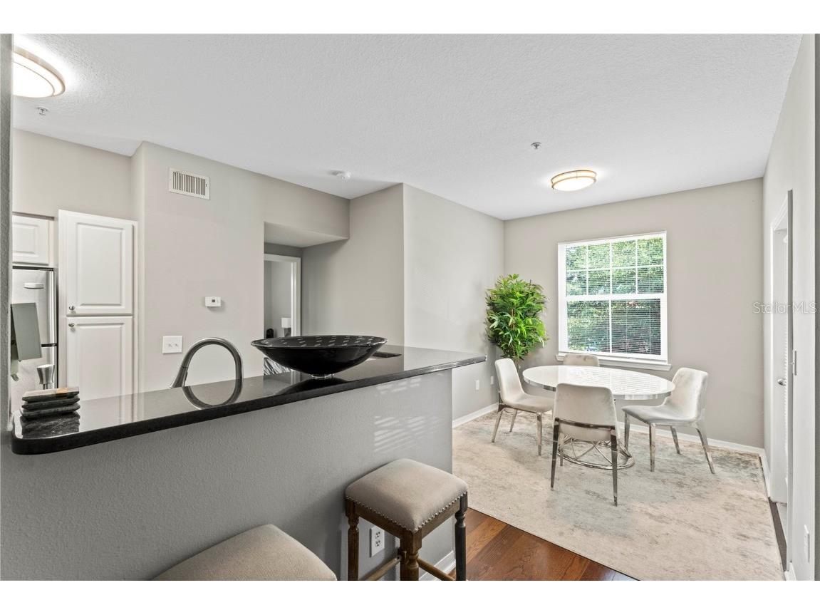 1810 E Palm Avenue #5207 Tampa FL 33605 TB8430349 image13