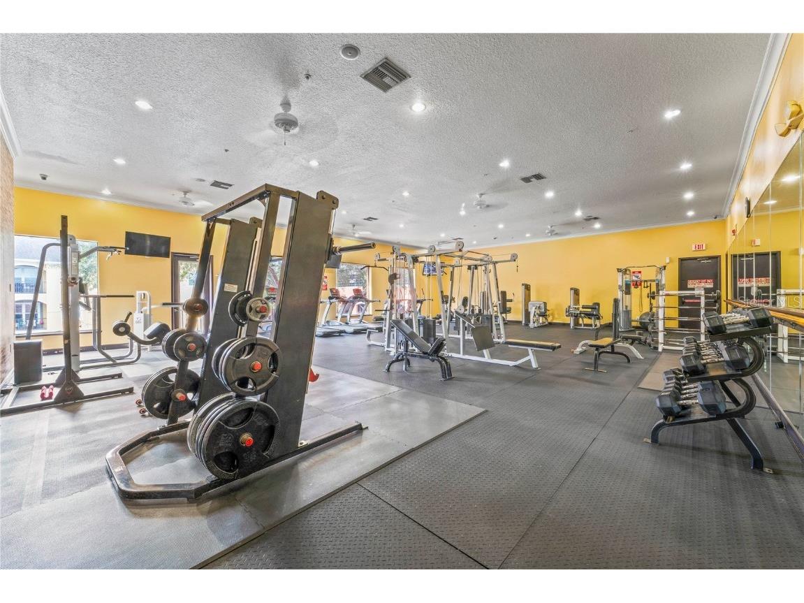 1810 E Palm Avenue #5207 Tampa FL 33605 TB8430349 image28