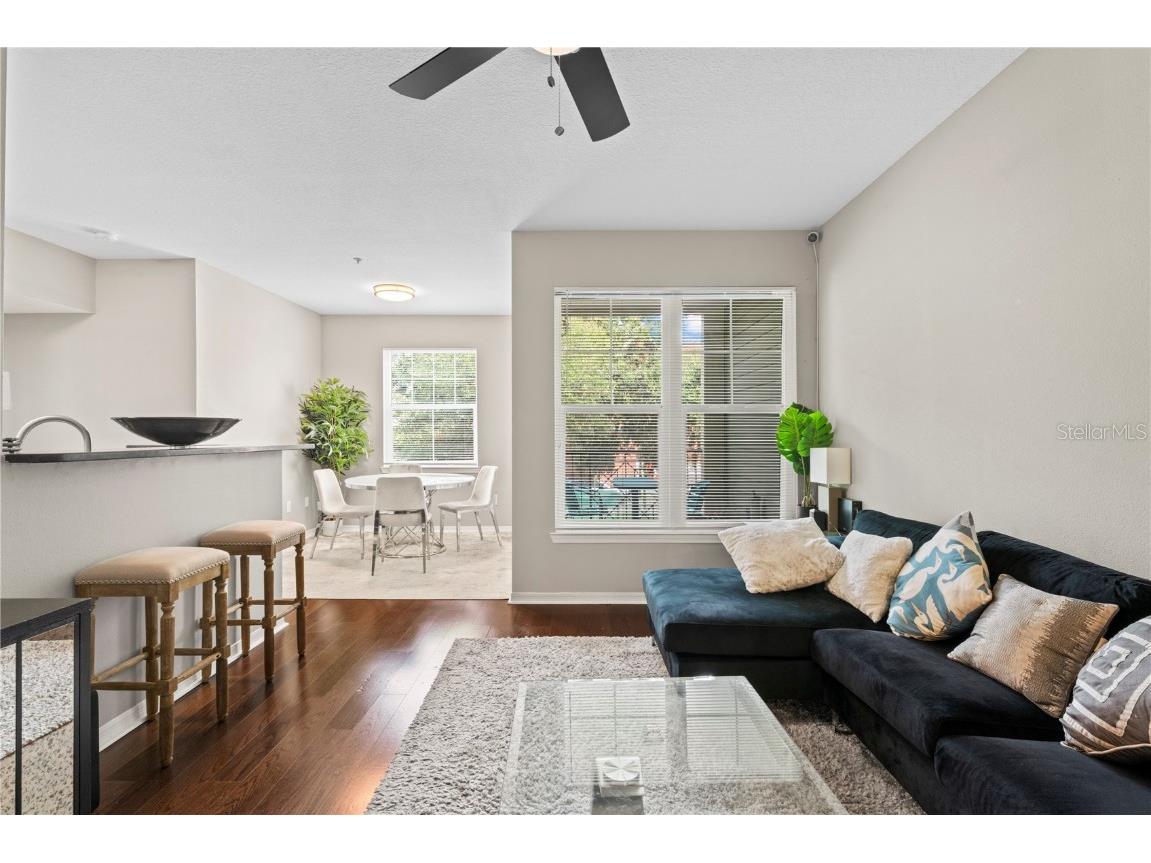 1810 E Palm Avenue #5207 Tampa FL 33605 TB8430349 image5