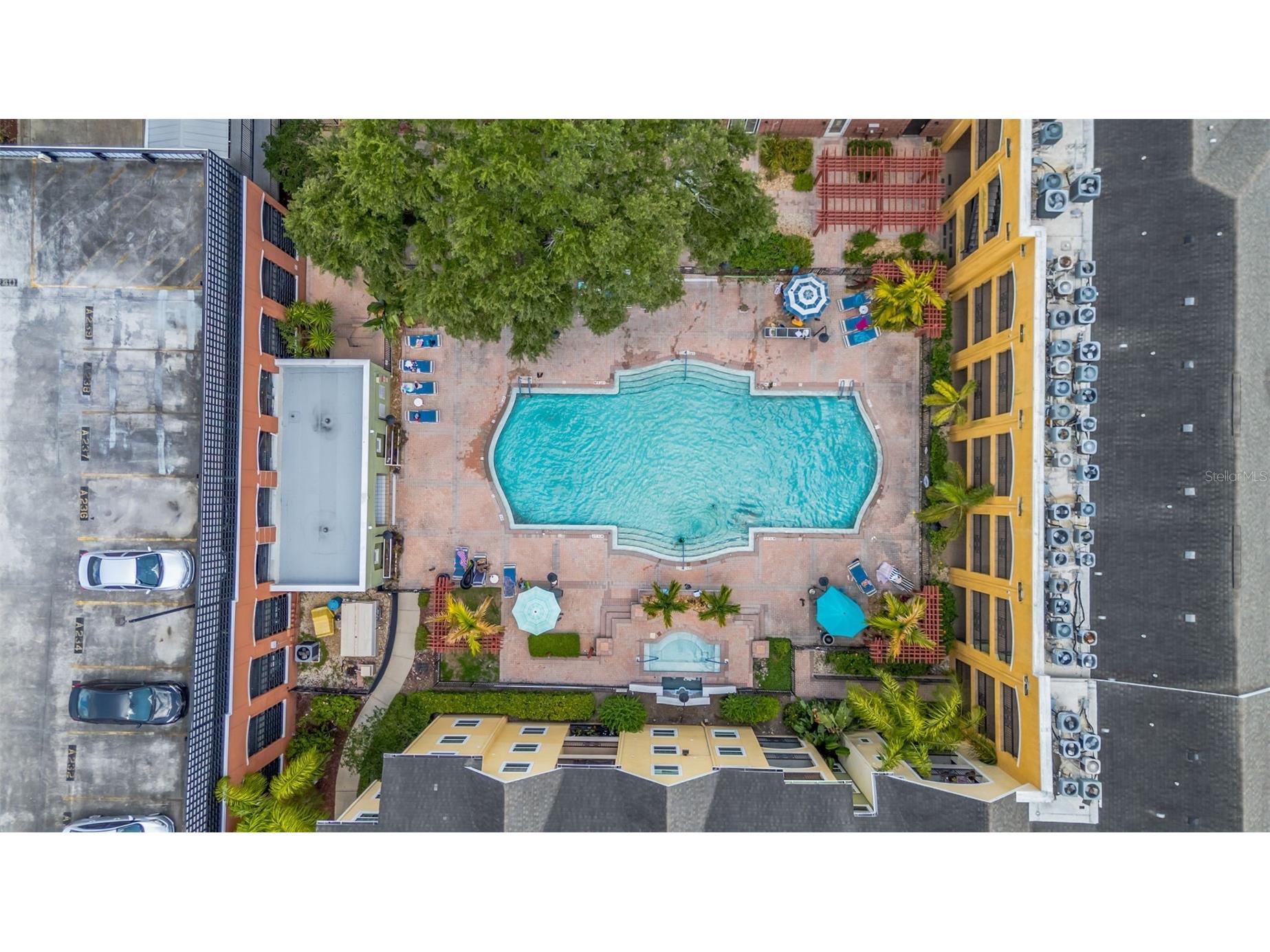 1810 E Palm Avenue #5217 Tampa FL 33605 TB8511384 image24