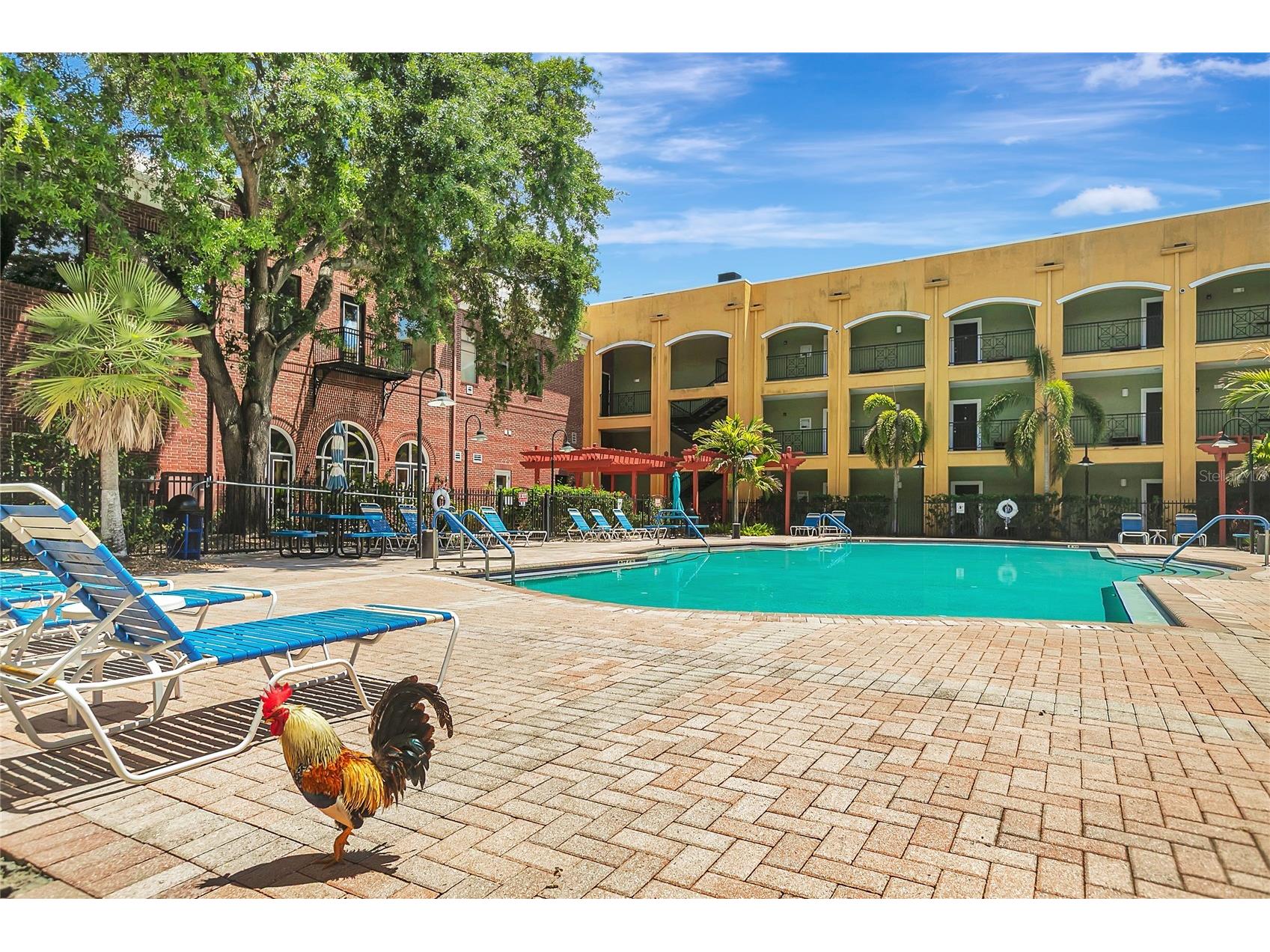 1810 E Palm Avenue #5315 Tampa FL 33605 TB8503538 image2