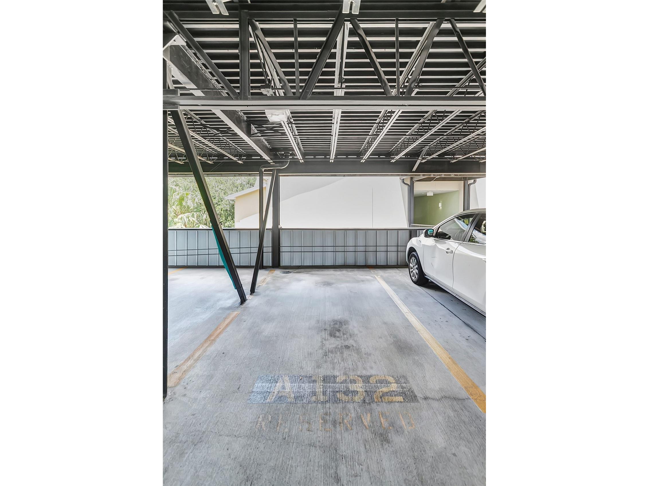 1810 E Palm Avenue #5315 Tampa FL 33605 TB8503538 image36