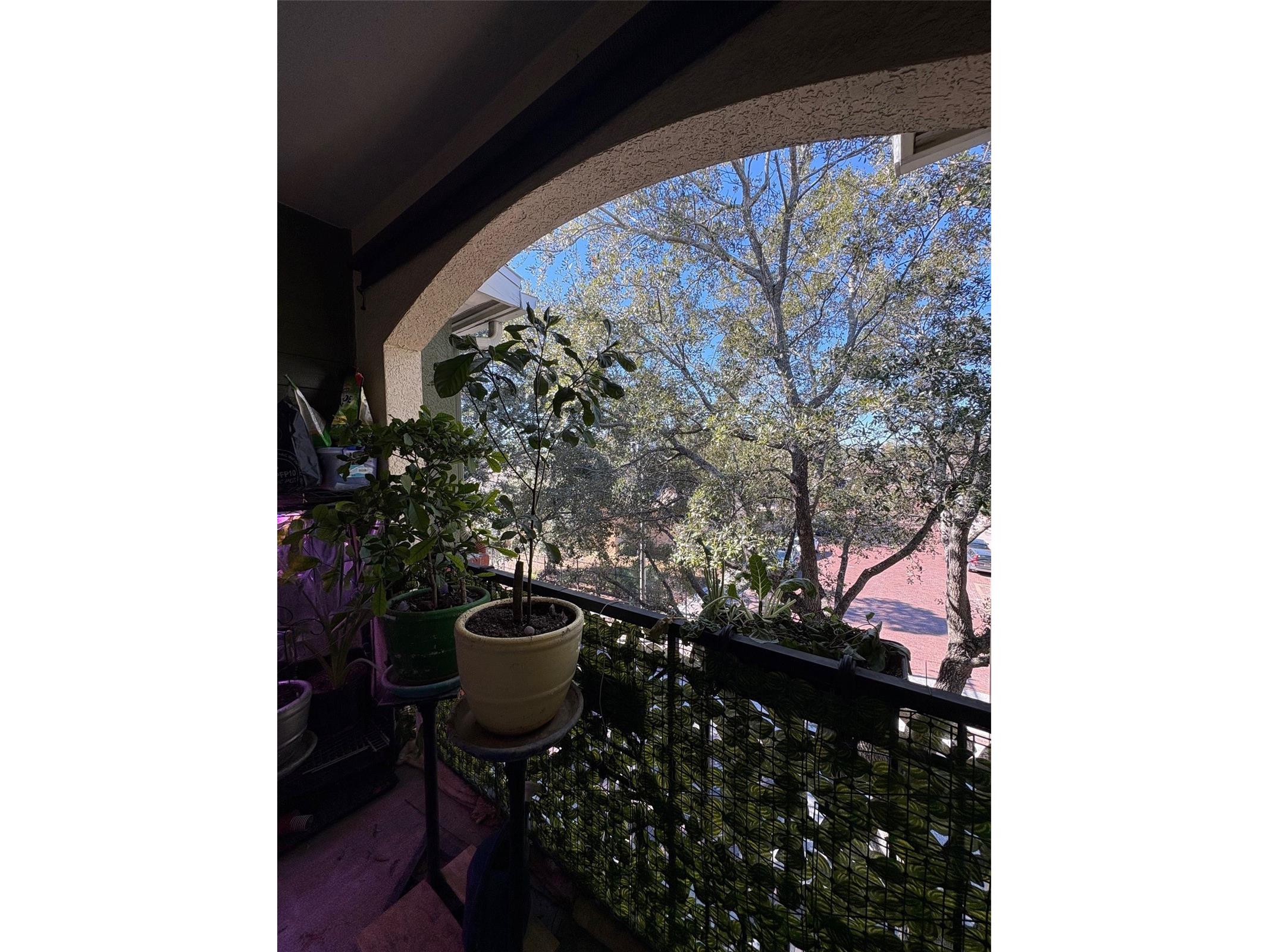 1810 E Palm Avenue #7303 Tampa FL 33605 TB8465987 image14