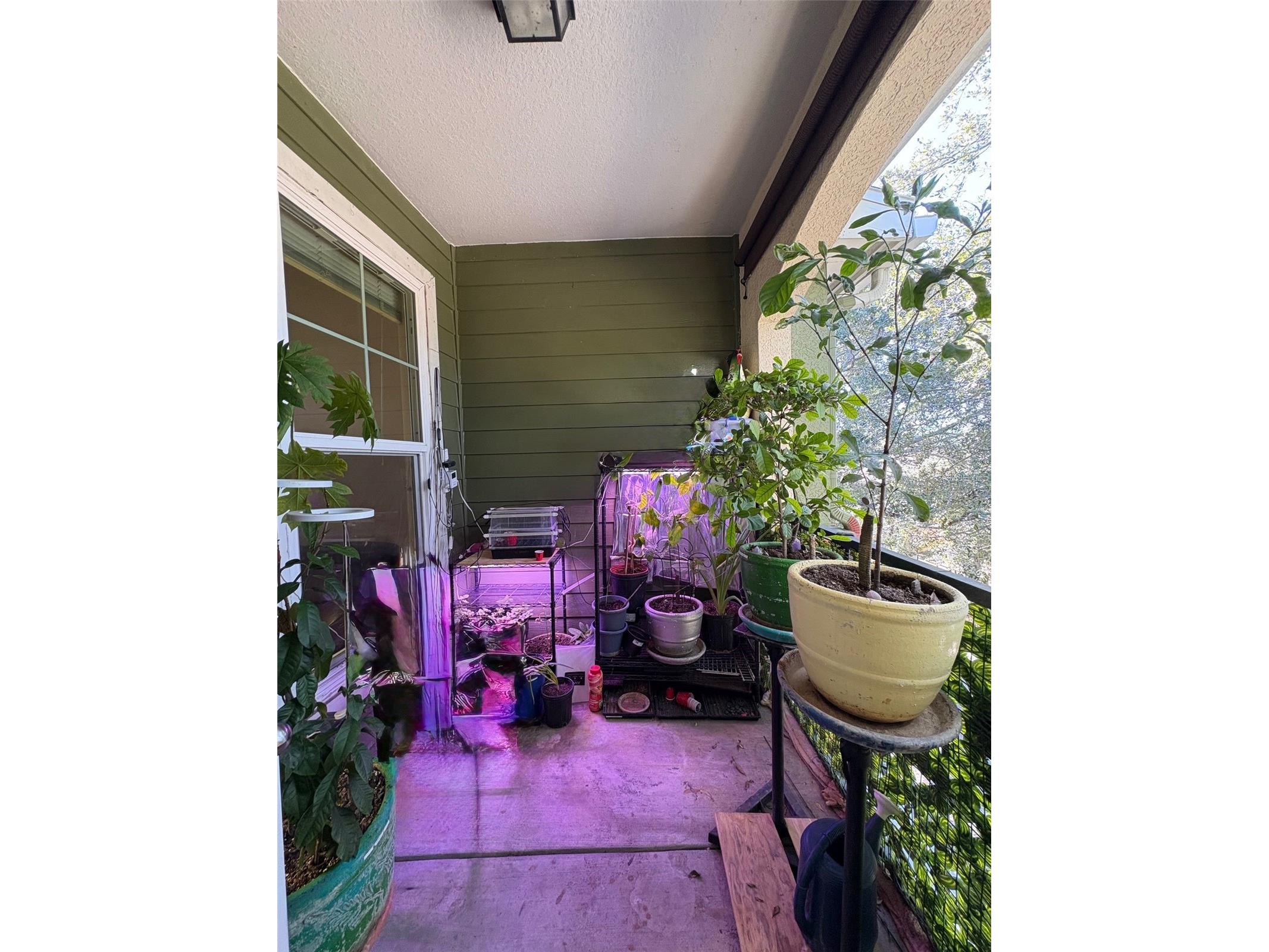 1810 E Palm Avenue #7303 Tampa FL 33605 TB8465987 image15