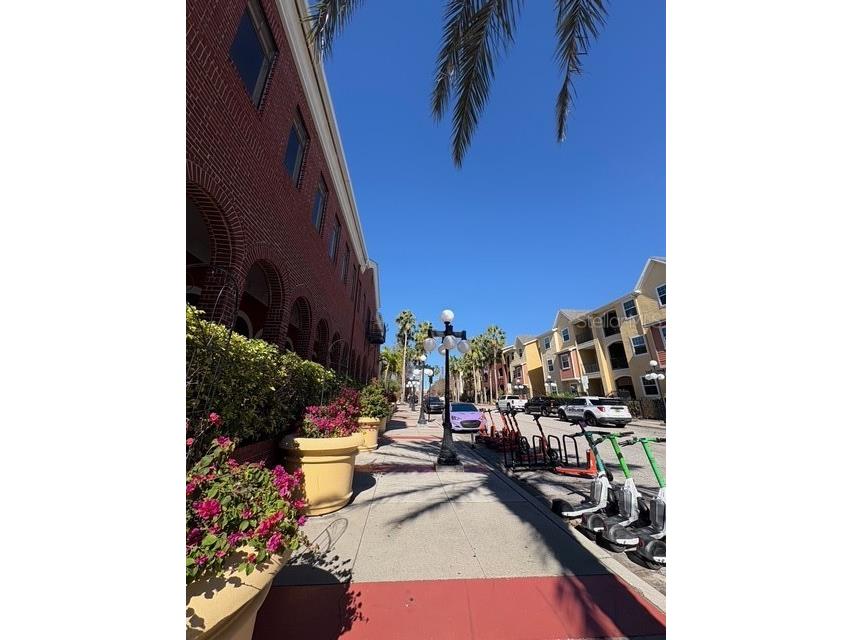 1810 E Palm Avenue #7303 Tampa FL 33605 TB8465987 image2