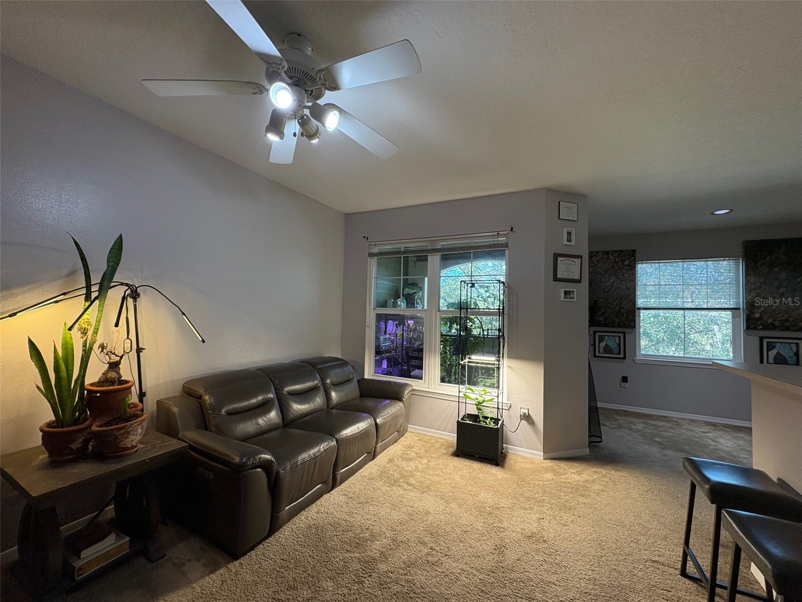 1810 E Palm Avenue #7303 Tampa FL 33605 TB8465987 image3