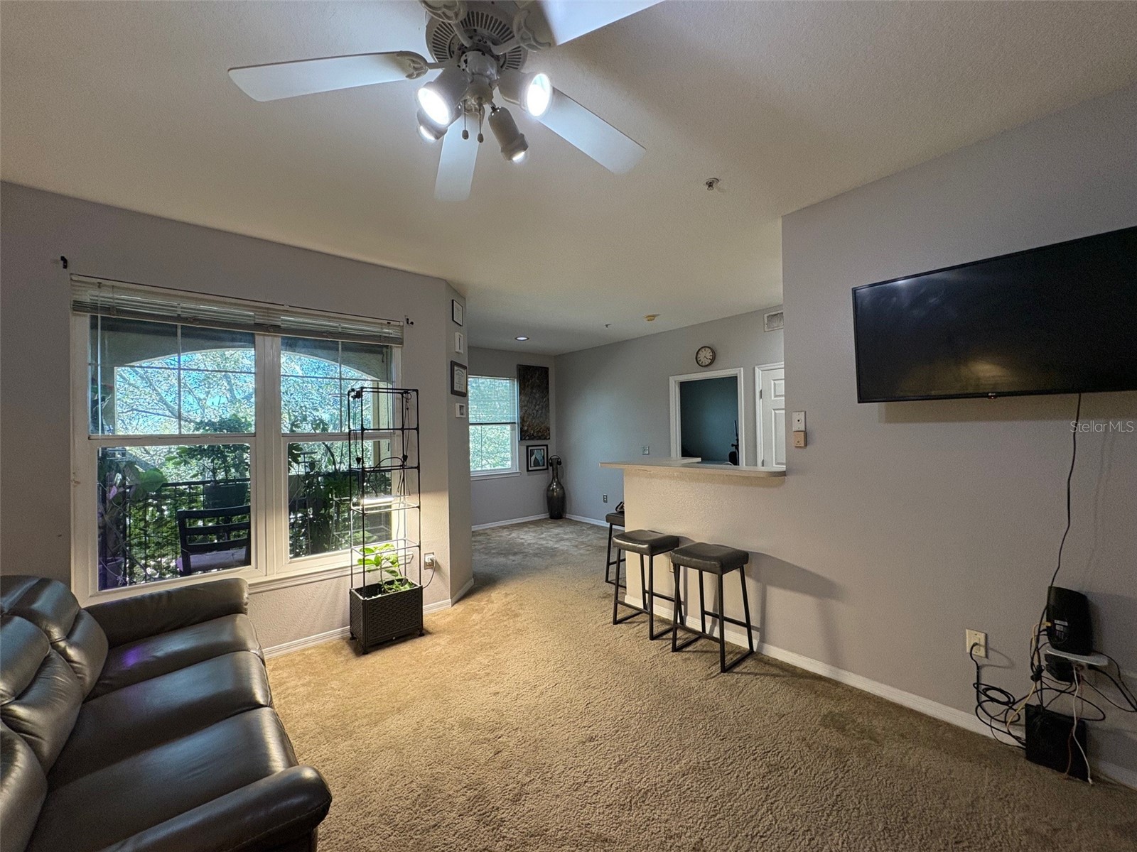 1810 E Palm Avenue #7303 Tampa FL 33605 TB8465987 image4