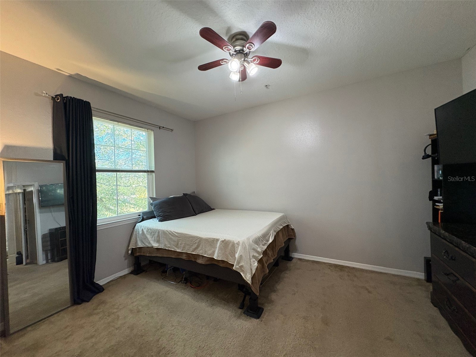 1810 E Palm Avenue #7303 Tampa FL 33605 TB8465987 image8