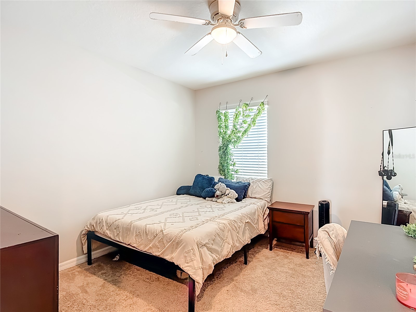 1810 Johnson Pointe Drive Plant City FL 33566 TB8433761 image56